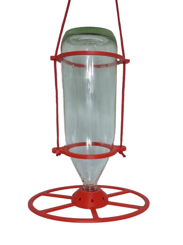 Tui Bellbird Nectar Feeder Kit – NZ Bird Feeders